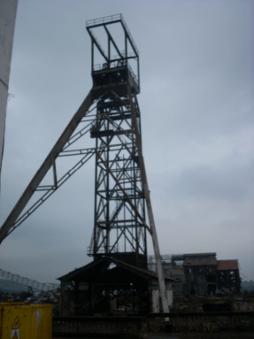 ARPI visita la mina de La Camocha