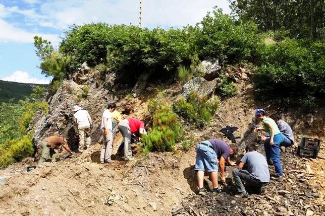 Un grupo de jóvenes ha estado participando en un curso sobre el estratotipo en Barruelo. Fernando Cuevas