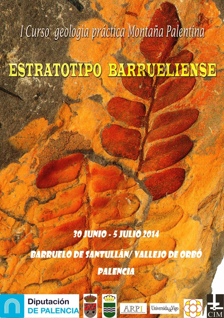 EL ESTRATOTIPO BARRUELIENSE.